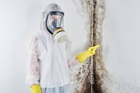 Best Water Damage & Mold Remediation  in Kingman, AZ